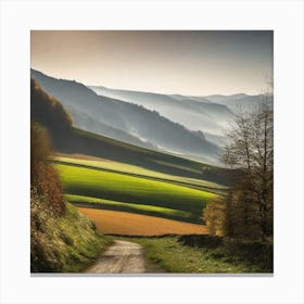 Country Road 40 Canvas Print