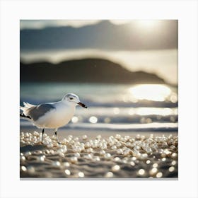 Seagull On Pearls Canvas Print