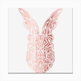 The Rabbit Spiritual Symbol Animal Tribal Culture Canvas Print