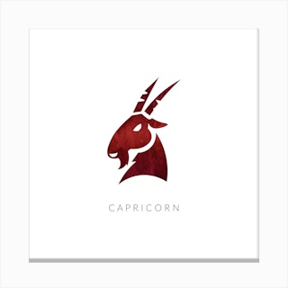 Capricorn Zodiac Square Canvas Print