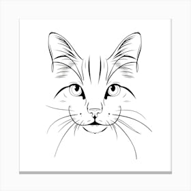 Cat Face Drawing Canvas Print