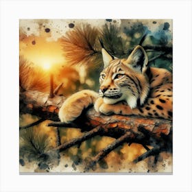 Lynx Sunset Canvas Print