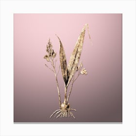 Gold Botanical Pine Pink on Rose Quartz n.2553 Canvas Print