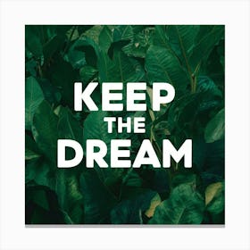 Keep The Dream 8 Canvas Print