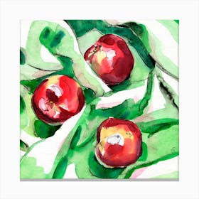 Peaches On Green Cloth Watercolor And Ink Painting Canvas Print