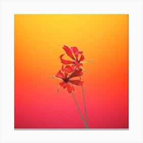 Flower 5 Canvas Print