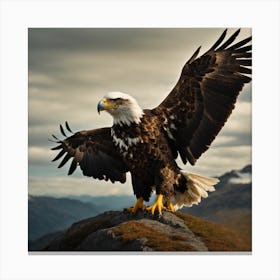 Bald Eagle Canvas Print