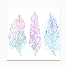 Watercolor Feathers Canvas Print