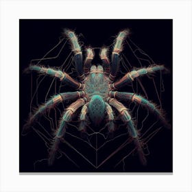 Tiger Spider Tarantula Canvas Print