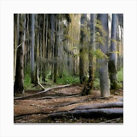 Forest Canvas Print