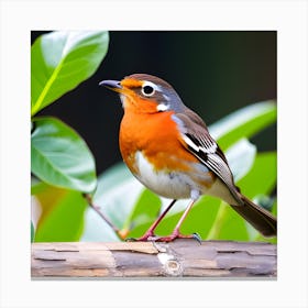 Robin 7 Canvas Print