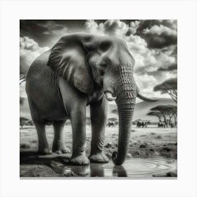 Elephant Watering Hole Canvas Print