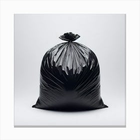 Black Garbage Bag 1 Canvas Print