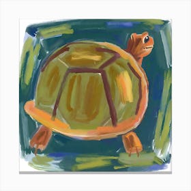 Box Turtle 06 Canvas Print