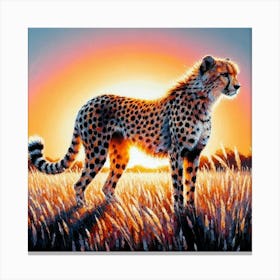 Cheetah At Sunset Canvas Print