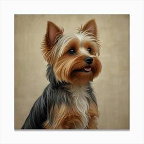 A yorkie female 1 Canvas Print