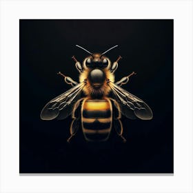 Bee On Black Background 1 Canvas Print