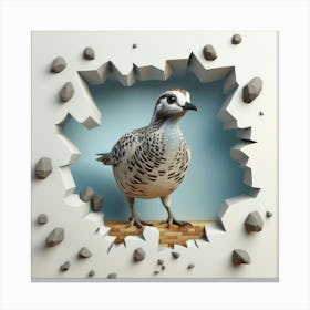 Quail Peeking Through A Hole 1 Canvas Print