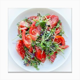 Tomato Salad Canvas Print