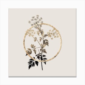 Gold Ring Hemlock Flowers Glitter Botanical Illustration Canvas Print