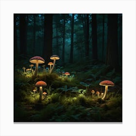 Mushrooms In The Forest Canvas Print