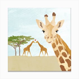 Giraffes In Africa Canvas Print