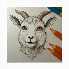 Goat Drawing 18 Canvas Print