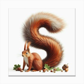 Funny Alpabet - S (Squirrel) Canvas Print