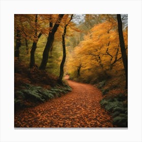 Autumn In The Woods 1 Canvas Print