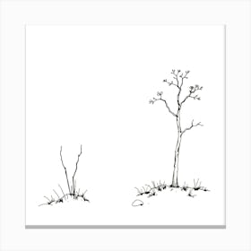 Two Trees Canvas Print