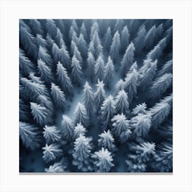 Aerial View Of Snowy Forest 17 Canvas Print