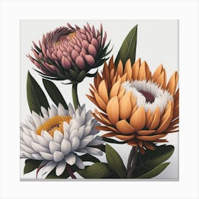 Proteas myluckycharm Canvas Print