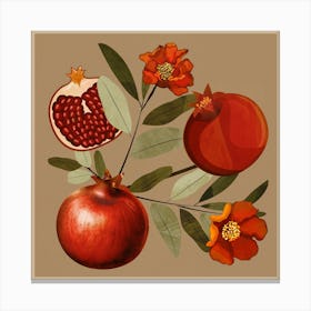 Pomegranate Botanical Art Canvas Print