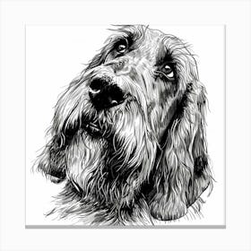 Grand Basset Griffon Vendeen Dog Line Sketch 1 Canvas Print