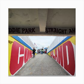 Idiot Park Canvas Print