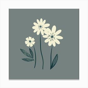 Daisies Canvas Print