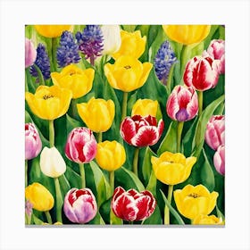 Tulips 18 Canvas Print