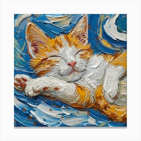 Cat Sleeping On The Moon Canvas Print