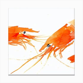 Two Shrimp Canvas Print