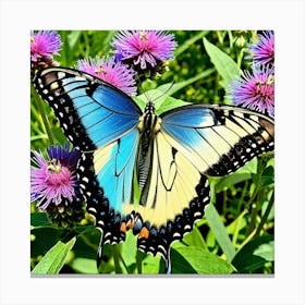 Butterflies Insect Lepidoptera Wings Antenna Colorful Flutter Nectar Pollen Metamorphosis (15) Canvas Print