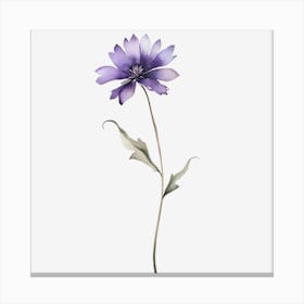 Purple Flower 1 Canvas Print
