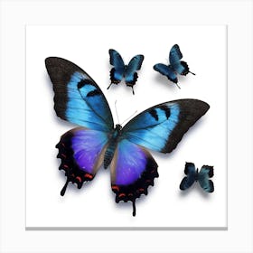 Blue Butterfly Canvas Print