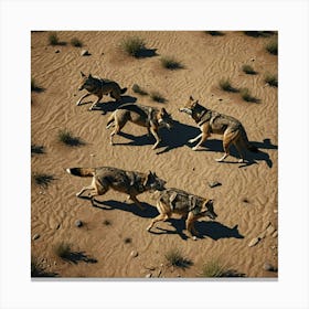 Wolf Pack Canvas Print