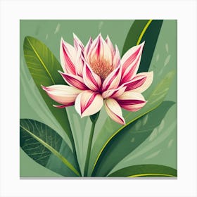 Lotus Flower 9 Canvas Print