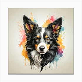 Australian Border Collie Canvas Print