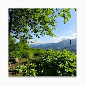 Mountain View Canvas Print