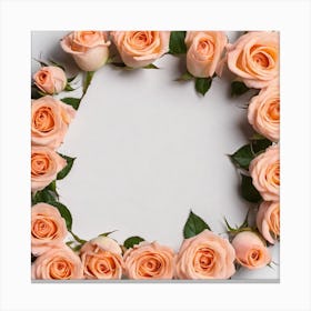 Pink Roses Frame Canvas Print