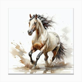 Horse Running In Water 1 Canvas Print