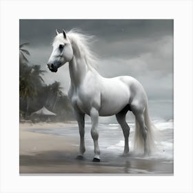 White Horse On The Beach Canvas Print