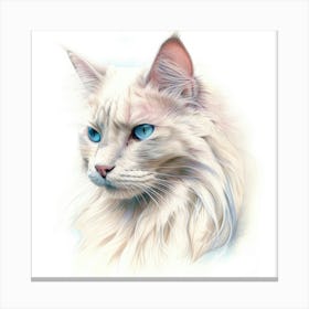 Chantilly Tiffany Cat Portrait 1 Canvas Print